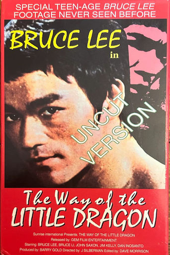 Poster of The Way of the Little Dragon