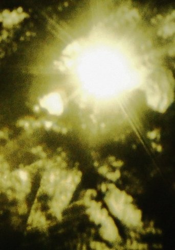 The Scale of Being Poster of The Scale of Being