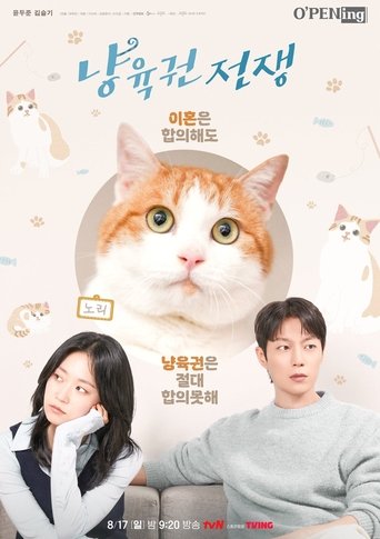 Poster of Cat Custody War