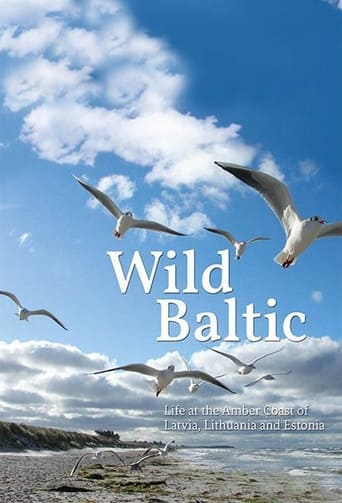 Poster of Wild Baltic