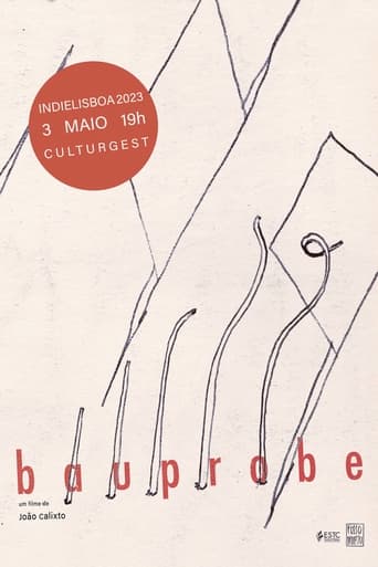 Poster of BAUPROBE