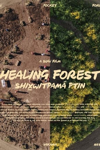 Poster of Healing Forest