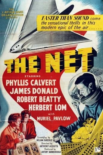 Poster of The Net