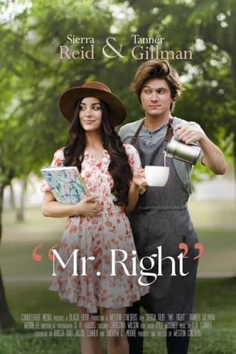 Poster of Mr. Right