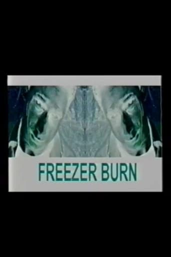 Poster of Freezer Burn