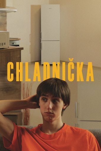 Poster of Chladnička