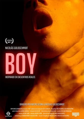 Poster of Boy