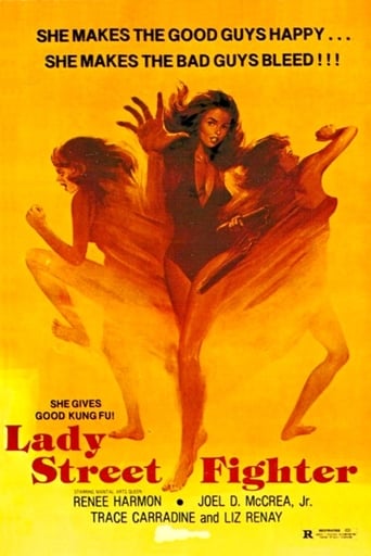 Poster of Lady Street Fighter