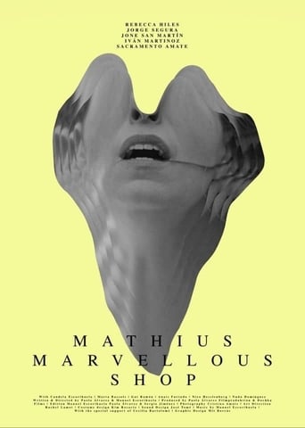 Poster of Mathius Marvellous Shop