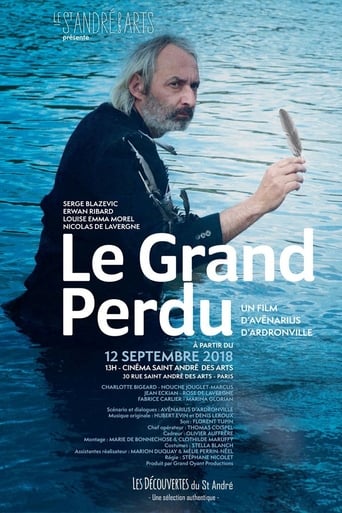 Poster of Le Grand Perdu