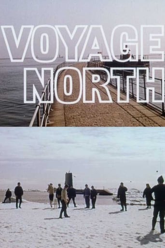 Poster of Voyage North