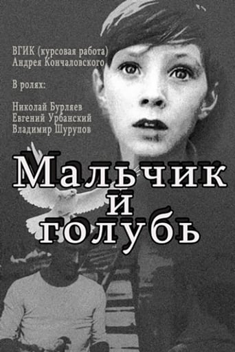 Poster of The Boy and the Pigeon