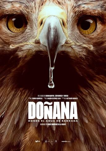 Poster of Doñana