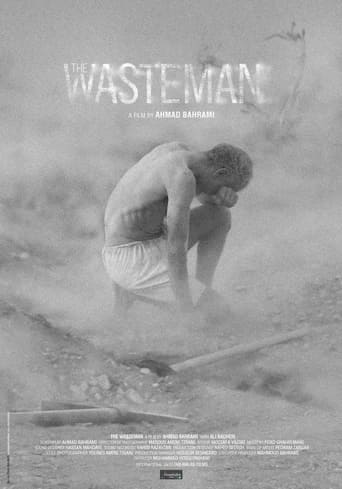 Poster of The Wasteman