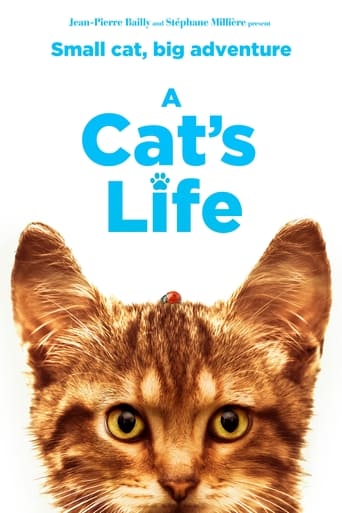 Poster of A Cat's Life