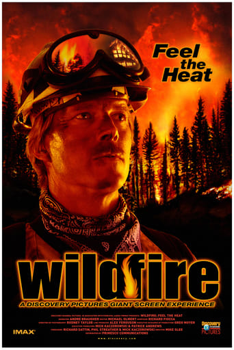 Poster of Wildfire: Feel the Heat