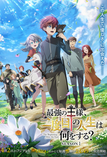 Poster of The Beginning After the End