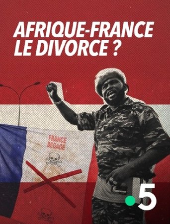Poster of Afrique-France : le divorce ?