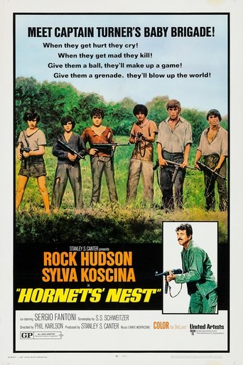 Poster of Hornets' Nest