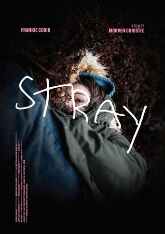 Poster of Stray