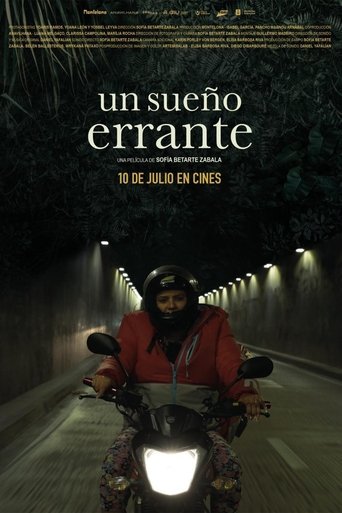 Poster of Un sueño errante