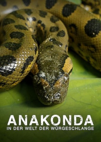 Poster of Anaconda: Silent Killer