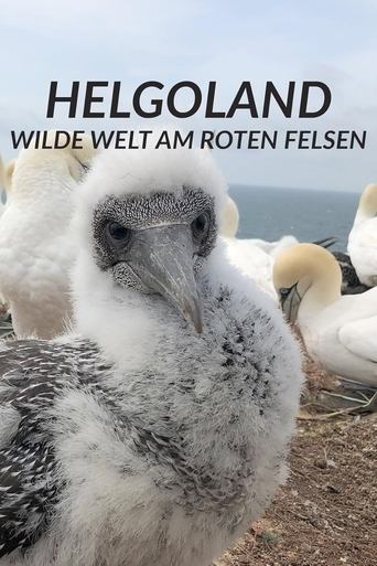 Poster of Helgoland - Wilde Welt am roten Felsen