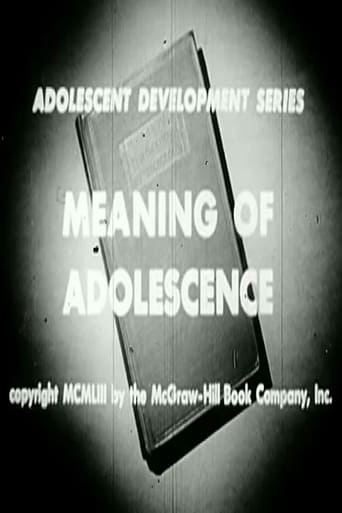 Poster of Meaning Of Adolescence