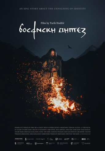 Poster of Bosnian Knight