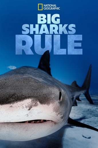 Poster of Big Sharks Rule