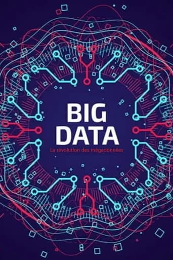 Poster of Big Data - La révolution des mégadonnées