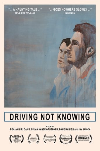 Poster of Driving Not Knowing