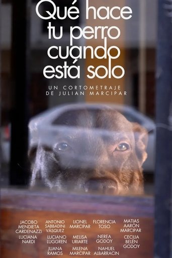 Poster of Qué hace tu perro cuando está solo
