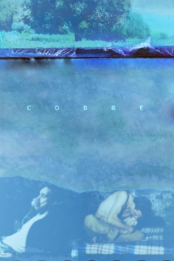 Poster of Copper