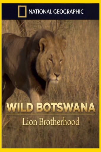 Poster of Lion Brotherhood