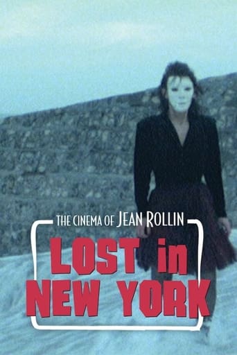 Poster of Lost in New York