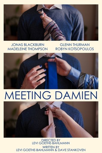 Poster of Meeting Damien