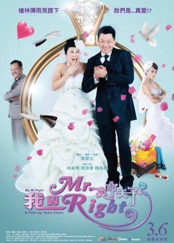 我的Mr. Right Poster of 我的Mr. Right