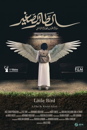 Poster of Little Bird