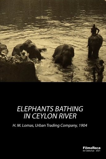 Poster of Elephants Bathing in Ceylon River