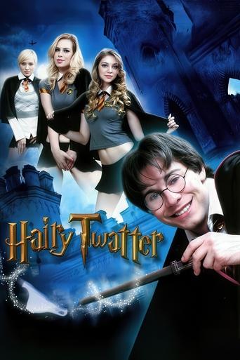 Poster of Hairy Twatter: A DreamZone Parody