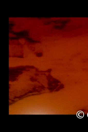 Visitor in the Inside Poster of Visitor in the Inside