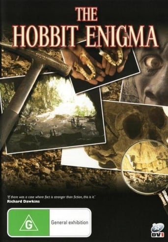 Poster of The Hobbit Enigma