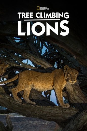 Poster of Tree Climbing Lions
