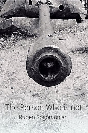 Poster of The Person Who Is Not