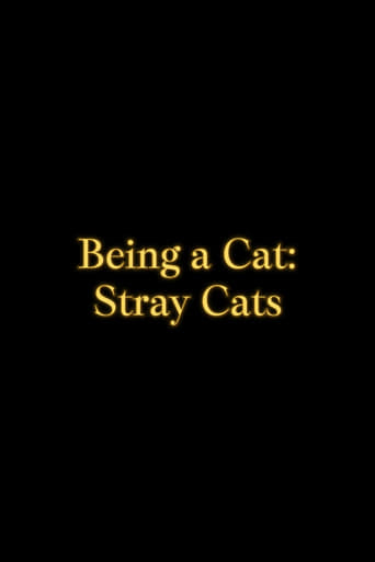 Portrait for Being a Cat - Stray Cats