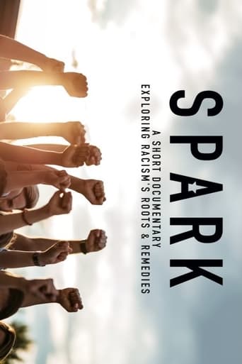 Poster of Spark: A Systemic Racism Story