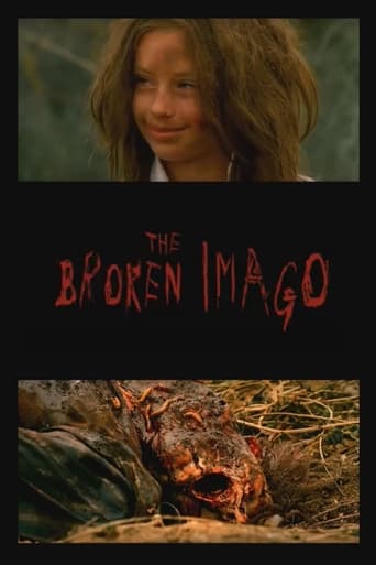 Poster of The Broken Imago