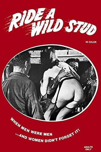 Poster of Ride a Wild Stud