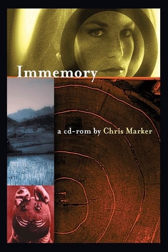 Poster of Immemory